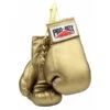 Probox Autograph Gloves -Venu Boxing Shop 1382622299 1