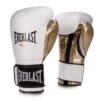 Everlast Powerlock Hook & Loop Training Boxing Gloves 1 Everlast Powerlock Hook & Loop Training Boxing Gloves -Venu Boxing Shop 1 w g