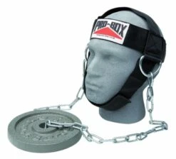 Probox Head Harness