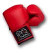 Rival Autograph Boxing Gloves -Venu Boxing Shop 39dd90666c7f90ff3ee4488a0a2d4544 large