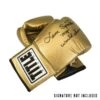 TITLE Boxing Autograph Gloves II