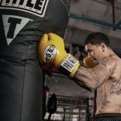 TITLE Big Bang Heavy Bag -Venu Boxing Shop big bang 3