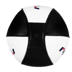 Fighting Sports Fury Speed Bag -Venu Boxing Shop fsfsb 2 1 1