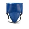 Phenom Boxing Elite GP-250 Professional Groinguard -Venu Boxing Shop phenom elite gp 250 groinguard blue 1