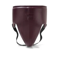 Phenom Boxing Elite GP-250 Professional Groinguard -Venu Boxing Shop phenom elite gp 250 groinguard sangria 1