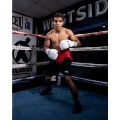 Pro Mex Avanzado Pro No-Foul Protector -Venu Boxing Shop pmpnf rd 4