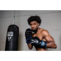 TITLE Platinum Perilous Lace Sparring Gloves -Venu Boxing Shop ppssgl 1