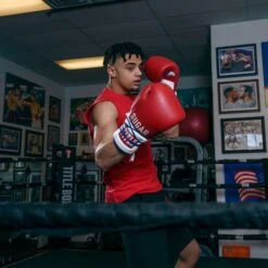 TITLE Boxing Sugar Ray Leonard Signature Leather Sparring Gloves -Venu Boxing Shop tb165 11