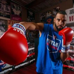 TITLE Boxing Sugar Ray Leonard Signature Leather Sparring Gloves -Venu Boxing Shop tb165 12