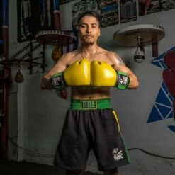 TITLE Boxing WBC Jose Sulaiman Training Gloves -Venu Boxing Shop title boxing wbc training gloves 5