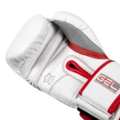 TITLE GEL Special Edition Bag Gloves 9 TITLE GEL Special Edition Bag Gloves -Venu Boxing Shop title gel special edition bag gloves 3