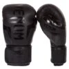 Venum Elite Boxing Gloves