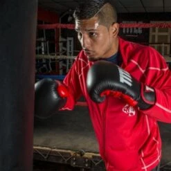 TITLE Dynamic Strike Heavy Bag Gloves -Venu Boxing Shop xdbg bk rd 2 1 1